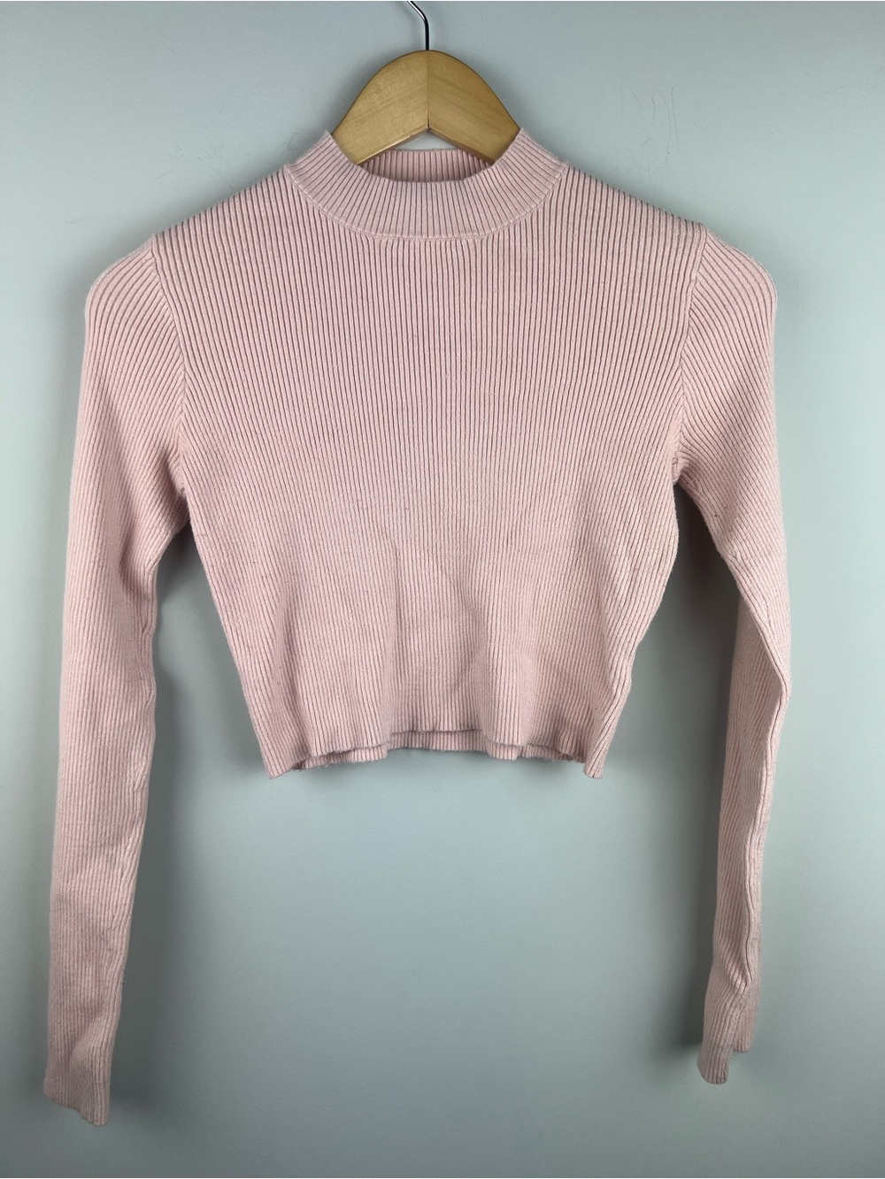Brandy Melville Blush Pink Ribbed Mock Neck Crop Top